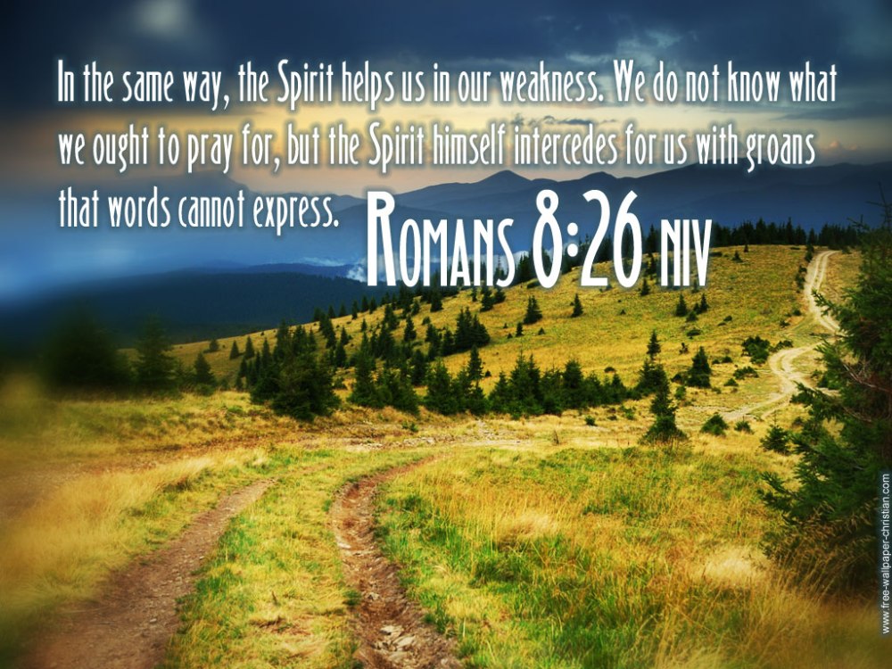Romans 8.26